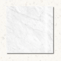 Bianco Carrara Polished