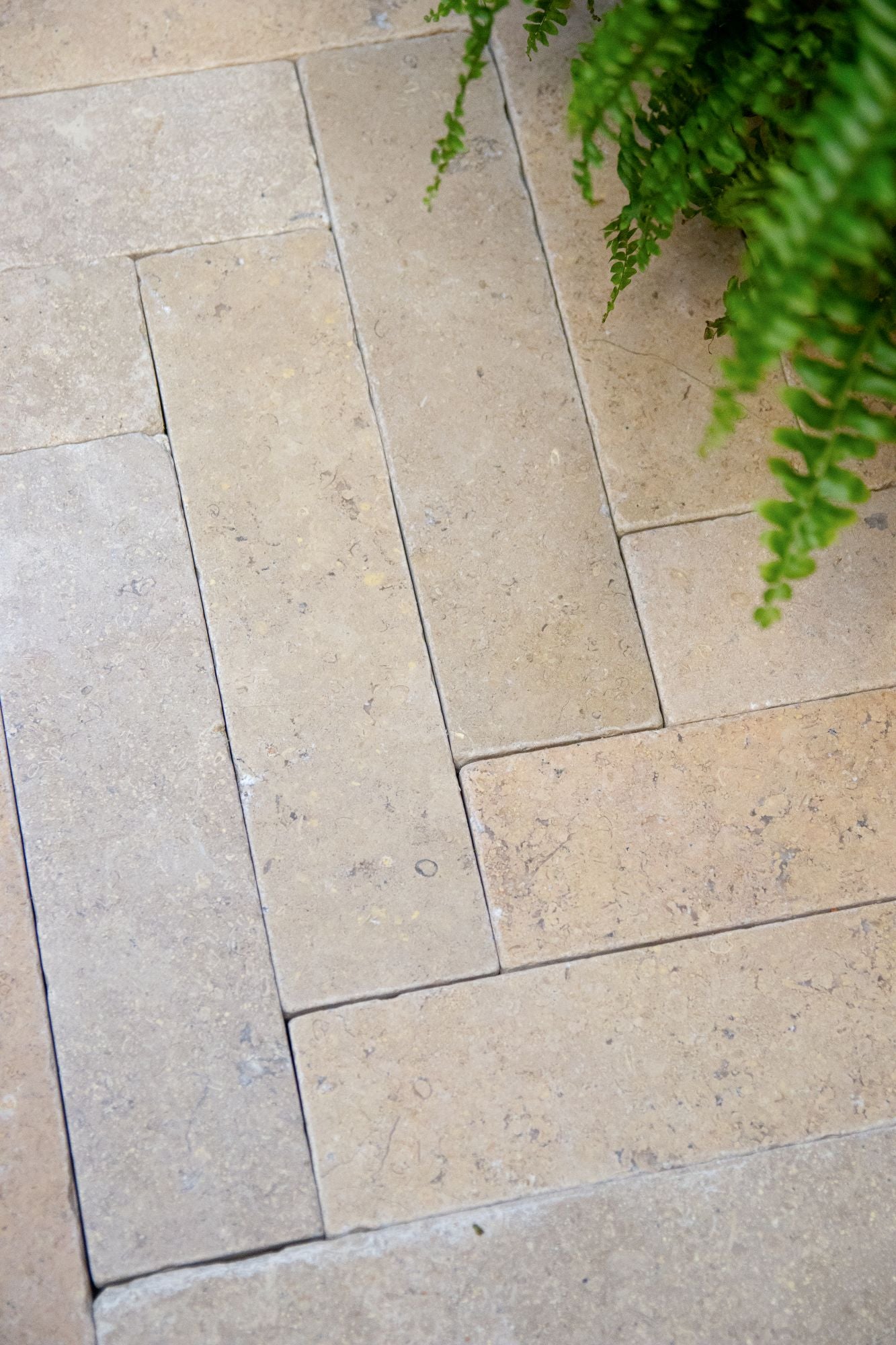 Selborne Limestone Tumbled Finish Brick