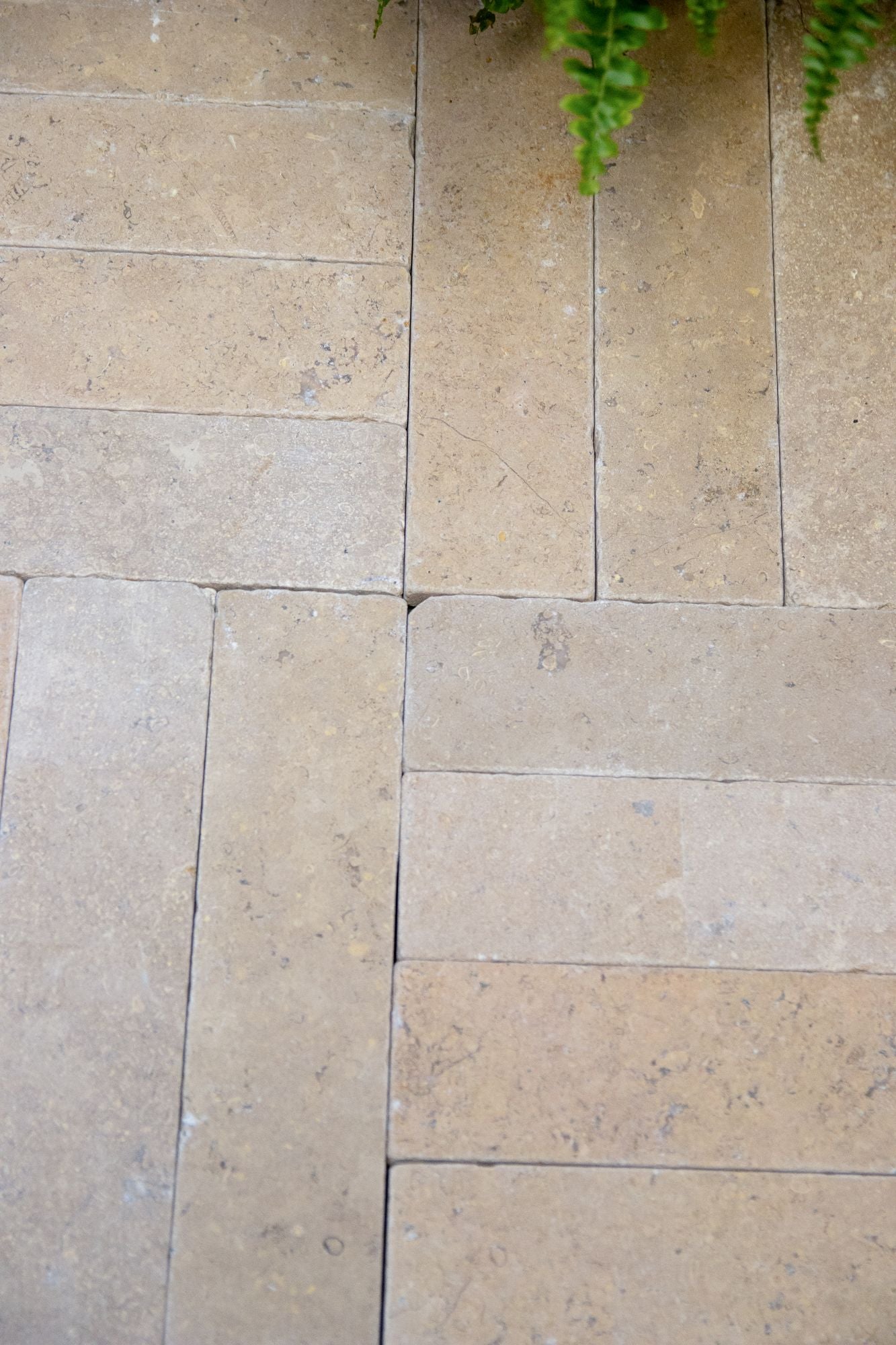 Selborne Limestone Tumbled Finish Brick