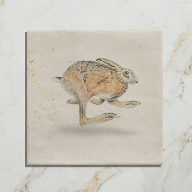 Wiltshire Hares by Joanna May (On Nuance Base) Satin Finish
